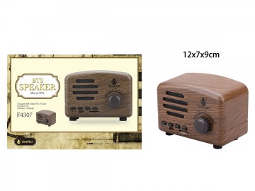 Boxa wireless FM TF 2400299