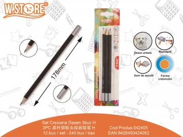 Set Creioane Desen H 3buc 042405