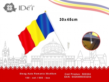 Steag Auto Romania 30x45cm 503324